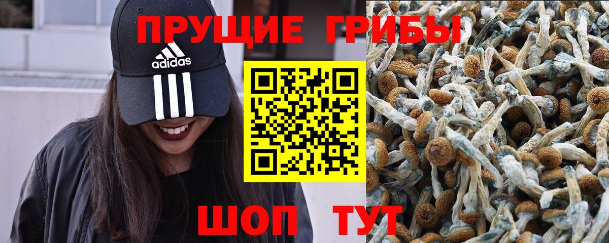 Псилоцибиновые грибы мухоморы  Вход с VPN  Верхняя Салда 
